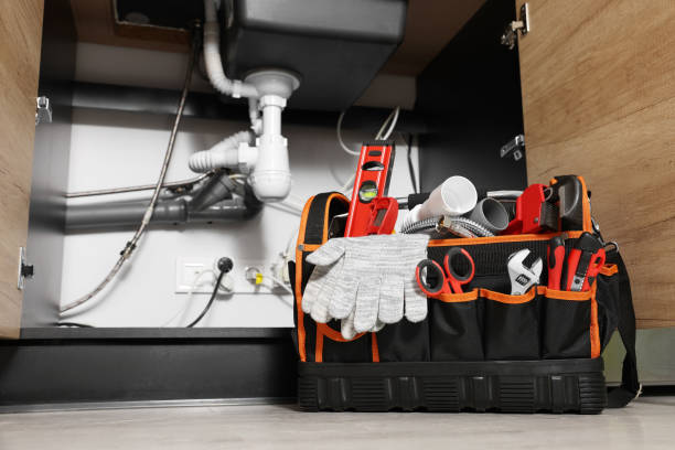Best Local Plumber Services  in Union City, IN